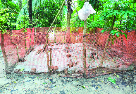 Image of হাফেজ মো: জসিম উদ্দিন